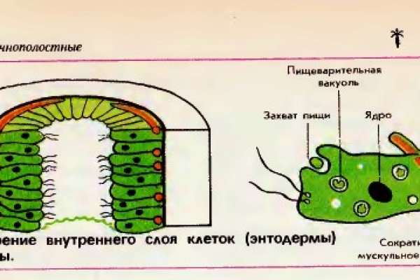 Кракен шоп что это