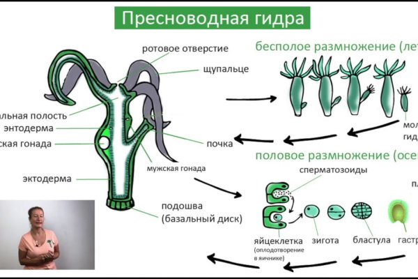 Кракен даркет