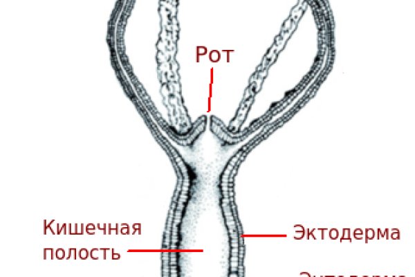 Сайт kraken darknet