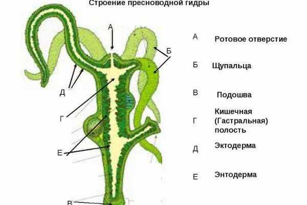 Кракен маркетплейс официальный сайт сайт ссылка