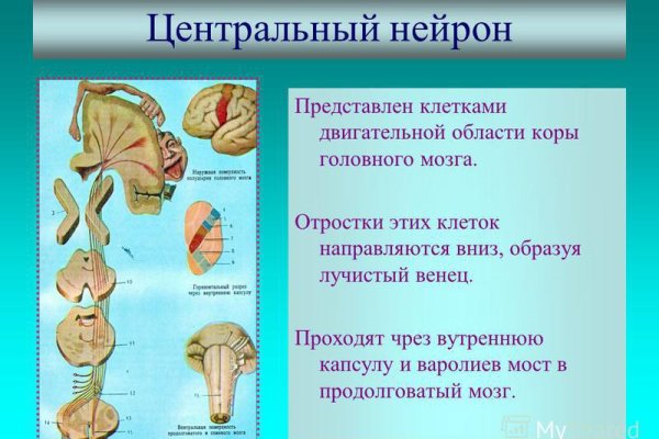 Ссылка на кракен онион